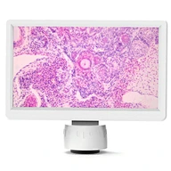 Microscope scopepad
