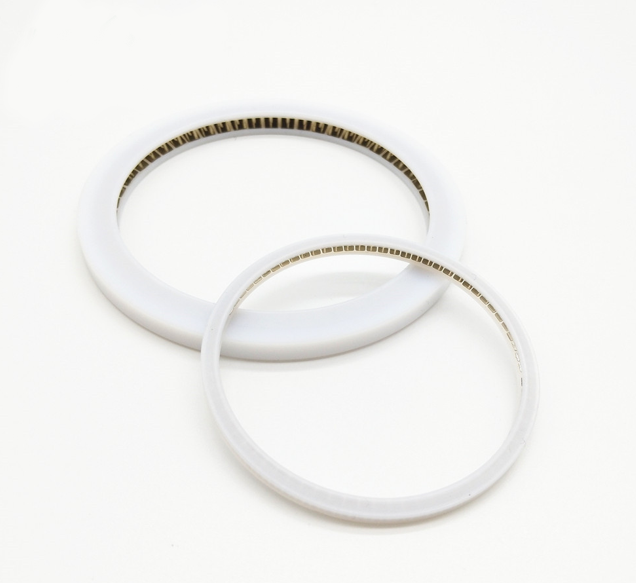 spring energized seals