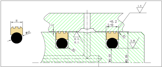 Rotary Seals