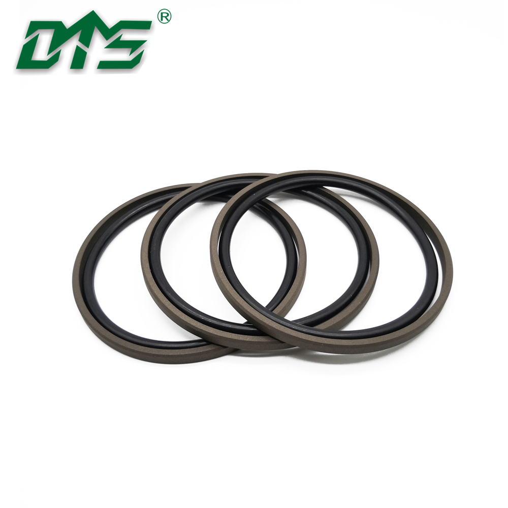  Glyd rings