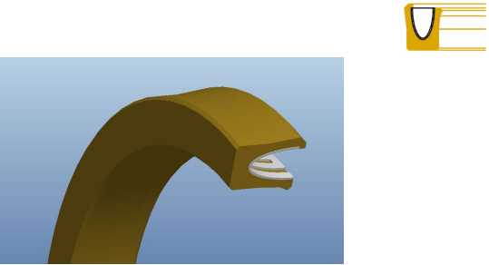 Spring Energized Seals