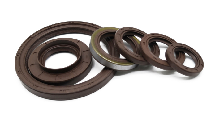 Oil Seal