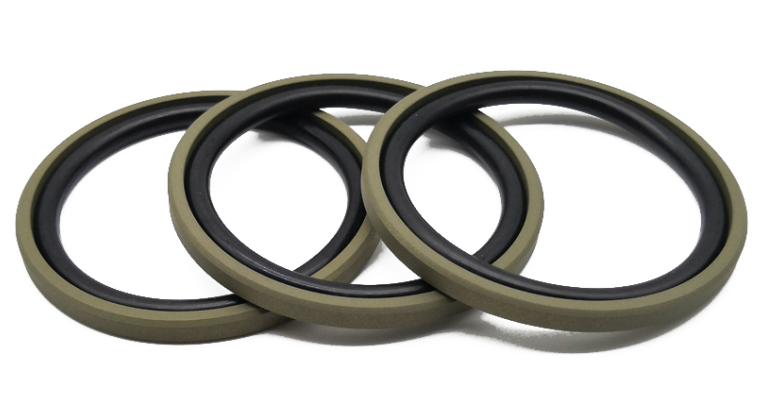 Hydraulic Cylinder Seals 