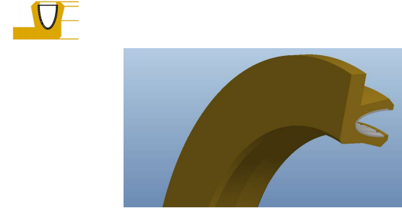 Spring Energized Seals
