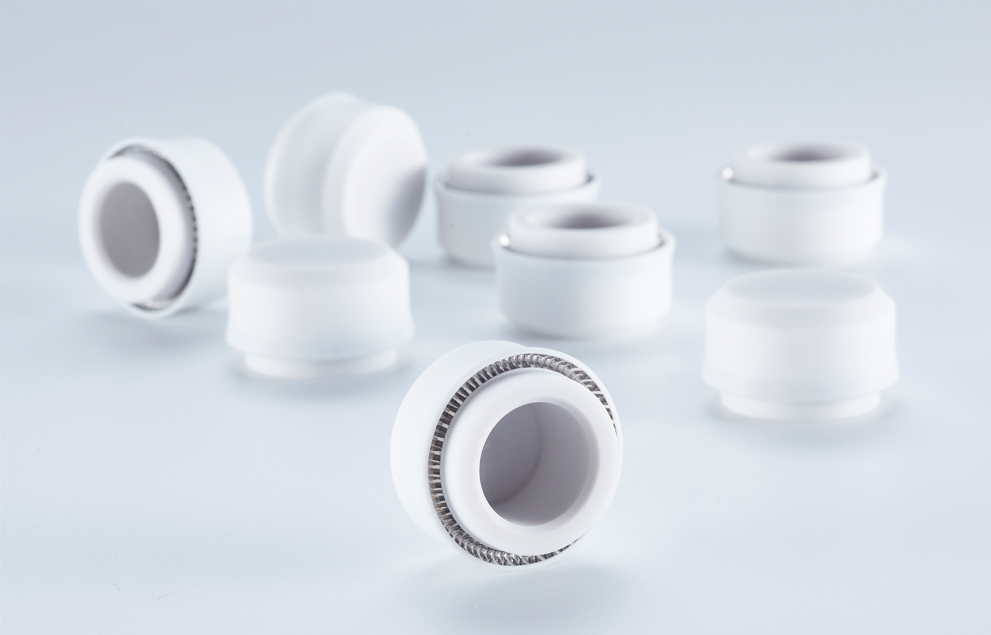 Spring Energized Seals