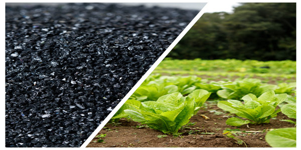potassium fulvic acid fertilizer price