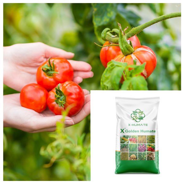 humic acid 98