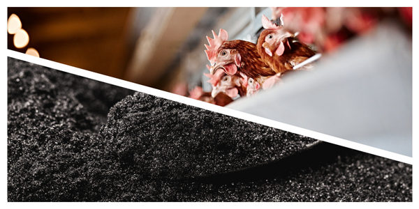 85 sodium humate animal feed