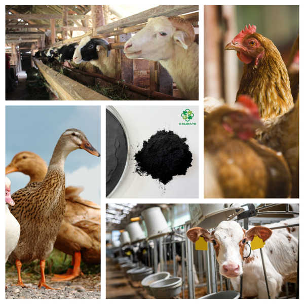 85 sodium humate feed additives