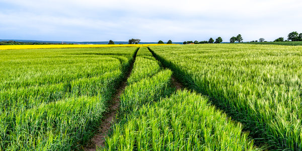 best humic acid fertilizer