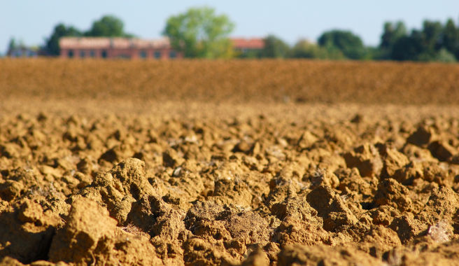 humic fertilizer