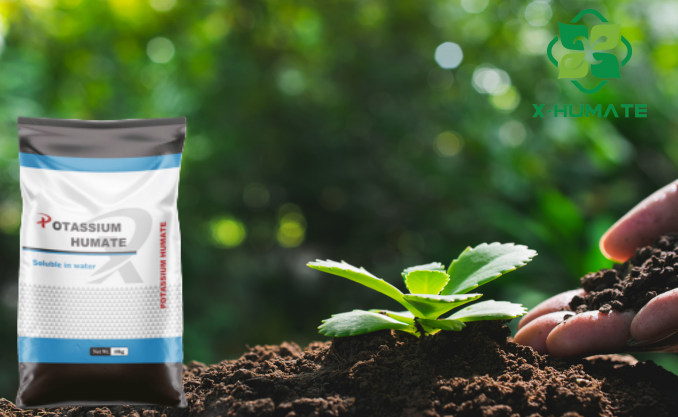 potassium humate 98