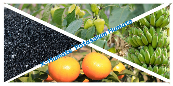 potassium humate 98