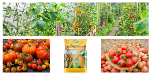 potassium fulvate price