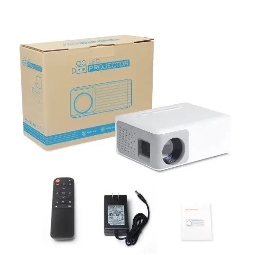portable pico projector
