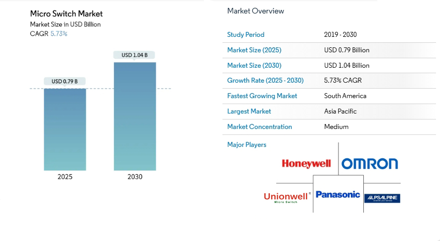 micro switch market and other details