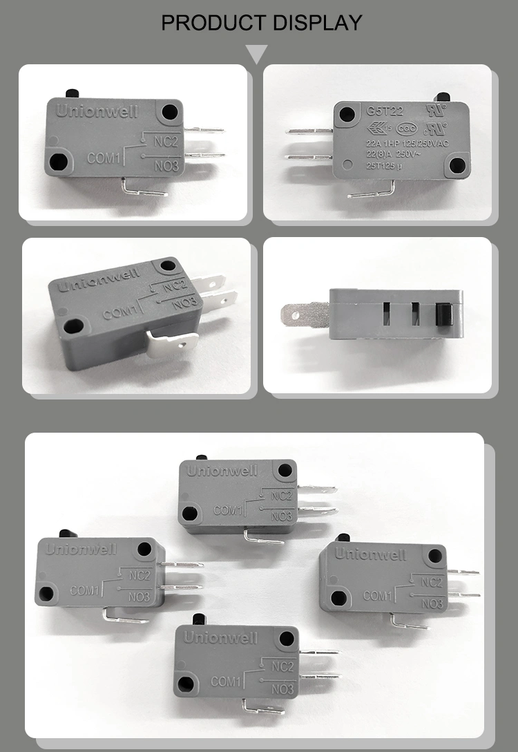 Unionwell water heater micro switch