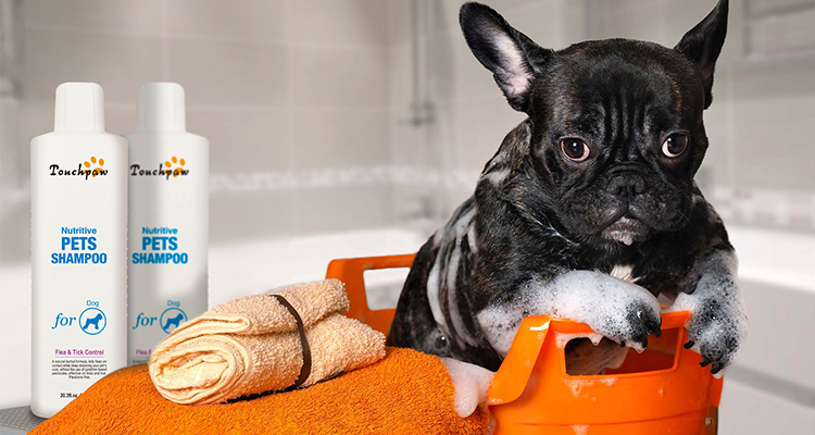 pet fresh dog shampoo