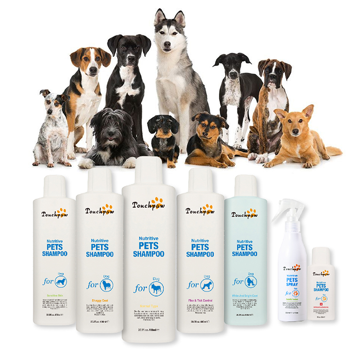 antifungal pet shampoo