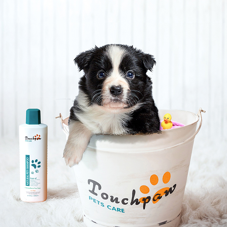 tea tree pet shampoo