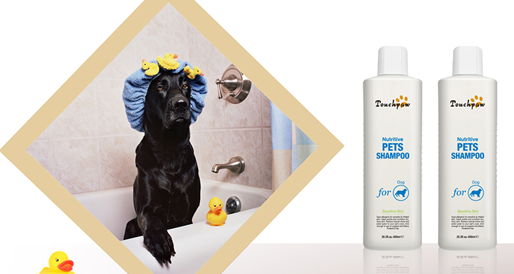 pet shampoo for allergies