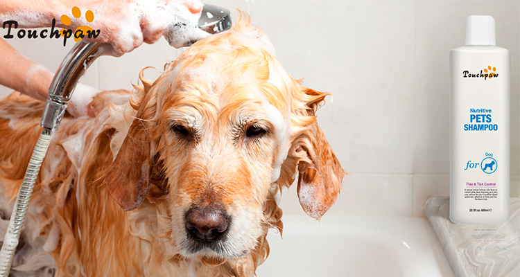 pet armor flea shampoo