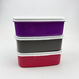plastic box lunch