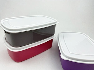 plastic box lunch