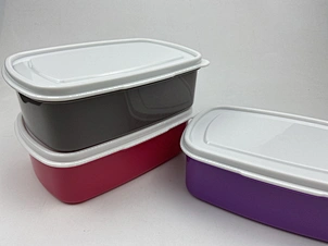 plastic box lunch