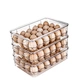 Eggs Organizer