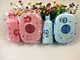 kawaii lunch box water bottle
