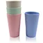 stadium cup