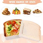 Sandwich Container