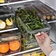 refrigerator organizer