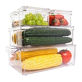 plastic food container box