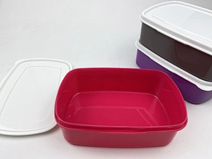 plastic box lunch