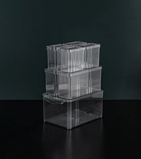 plastic food container box