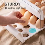 egg holder