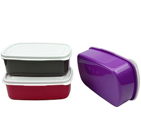 plastic box lunch