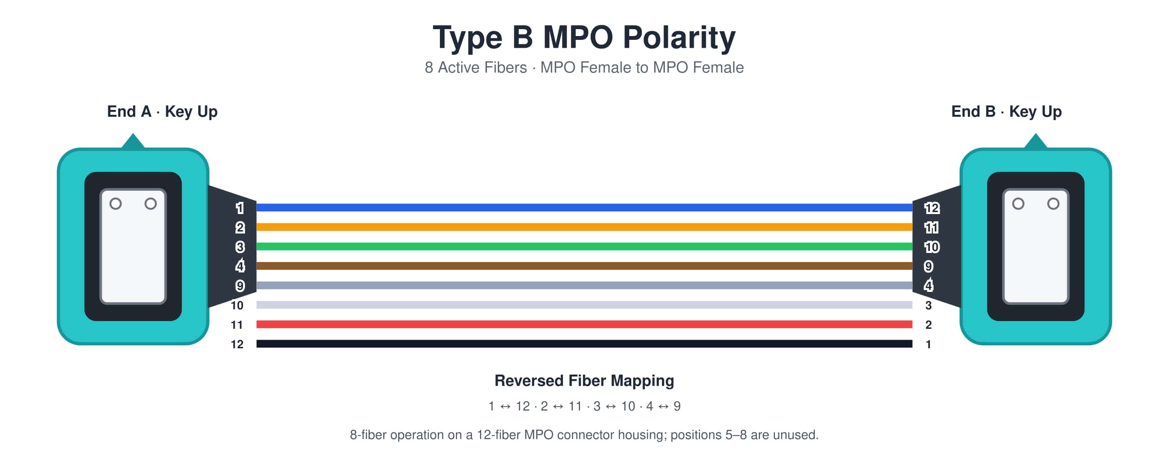type b mpo fiber cable polarity with 8 active fibers