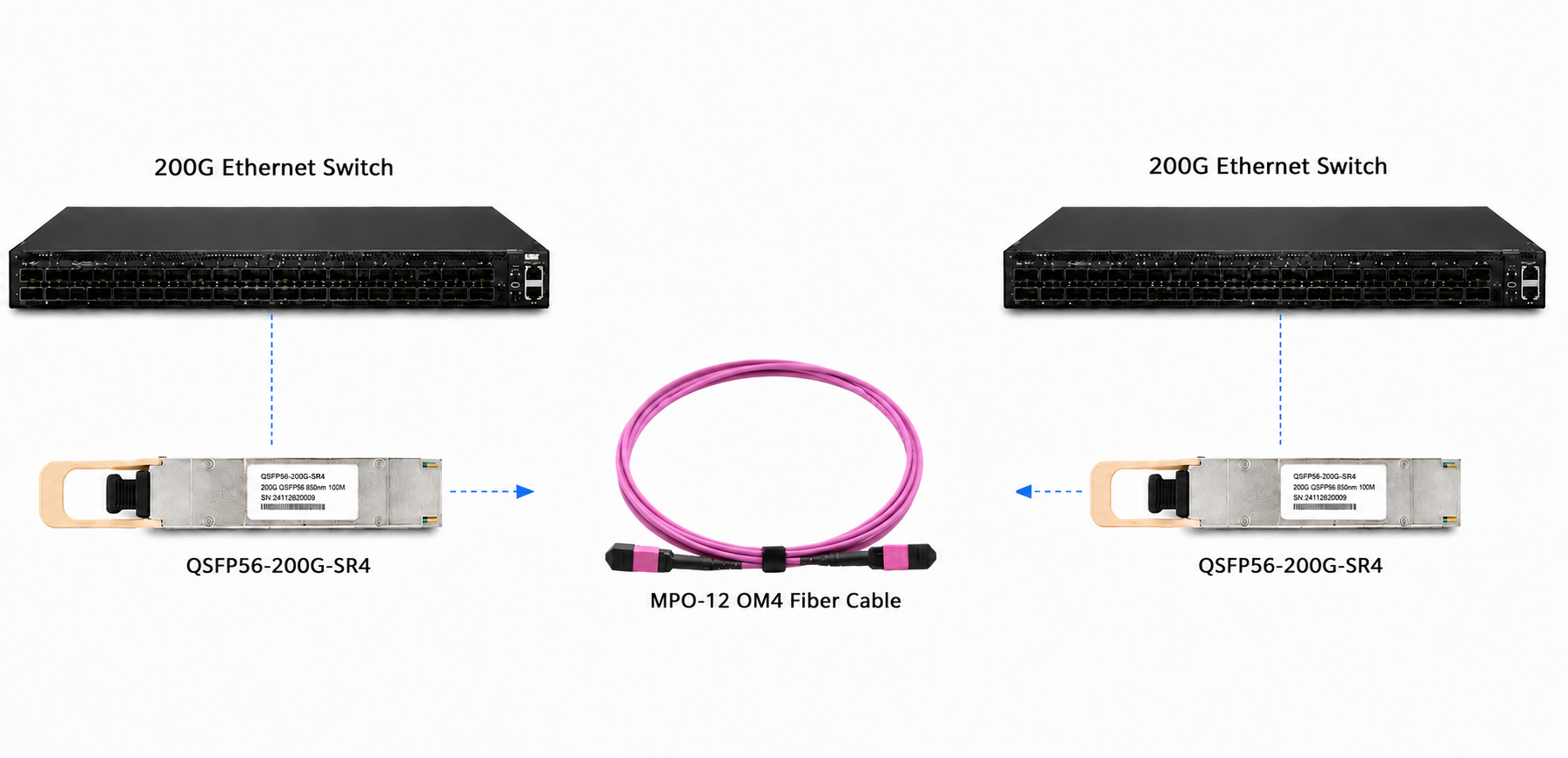 200G QSFP56 SR4 optical transceiver connected with MPO-12 OM4 fiber cable for 200G Ethernet switch interconnect