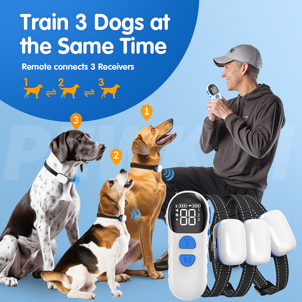 TZ-925 dog training collar for 3 dogs