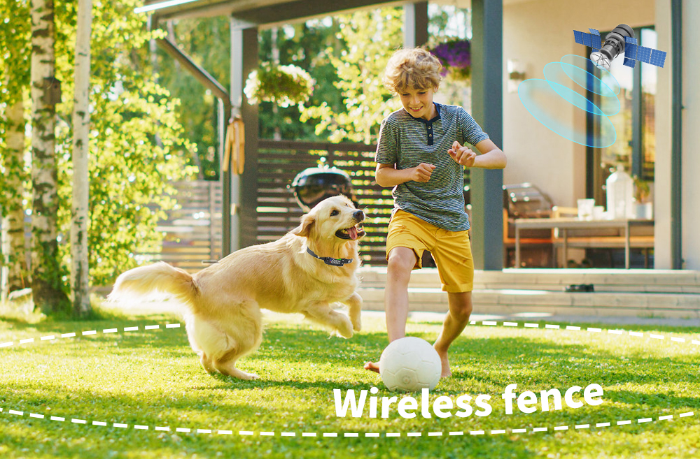 GPS wireless dog fence