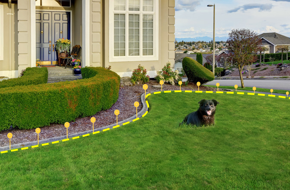 in-ground wired electric dog fence