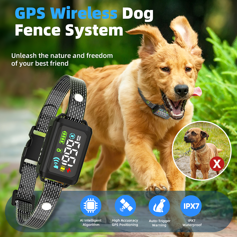 main features of gps wireless dog fence system