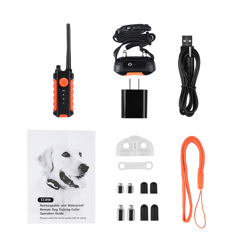 the accessories of training collar