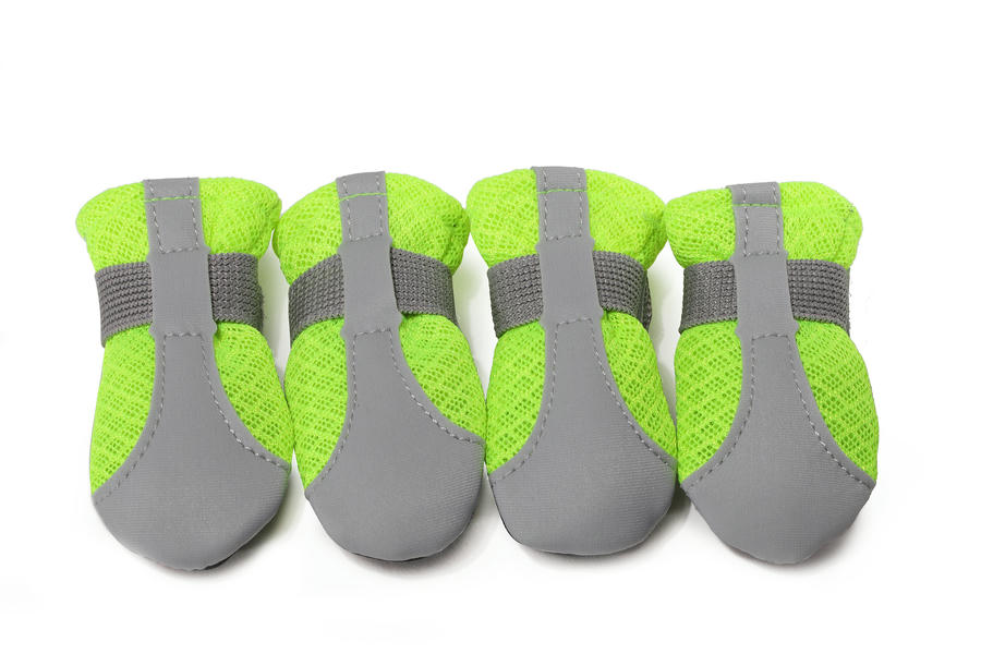 dog walking socks