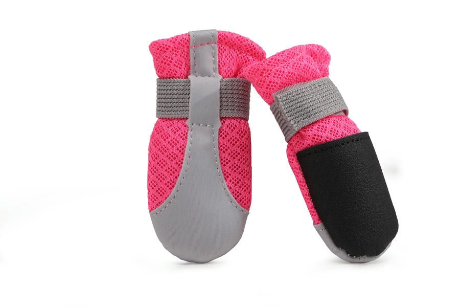 dog walking socks