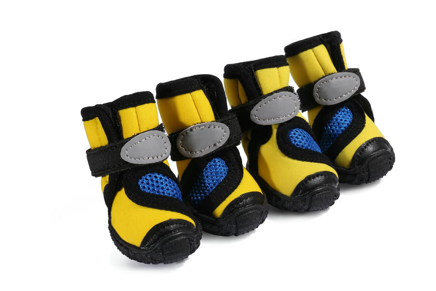 dog shoes for walking
