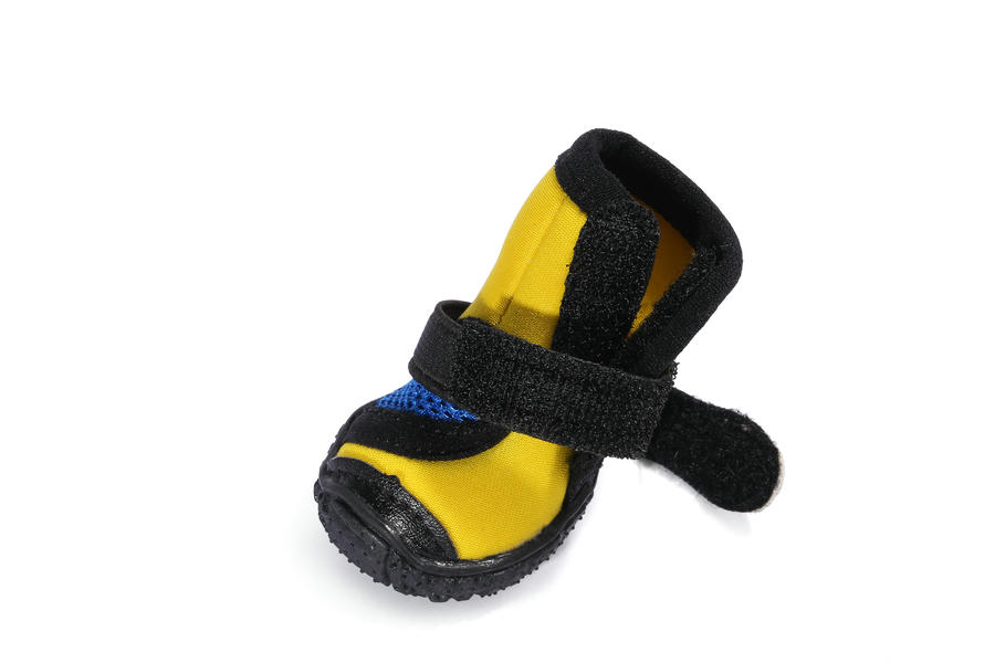 dog shoes for walking